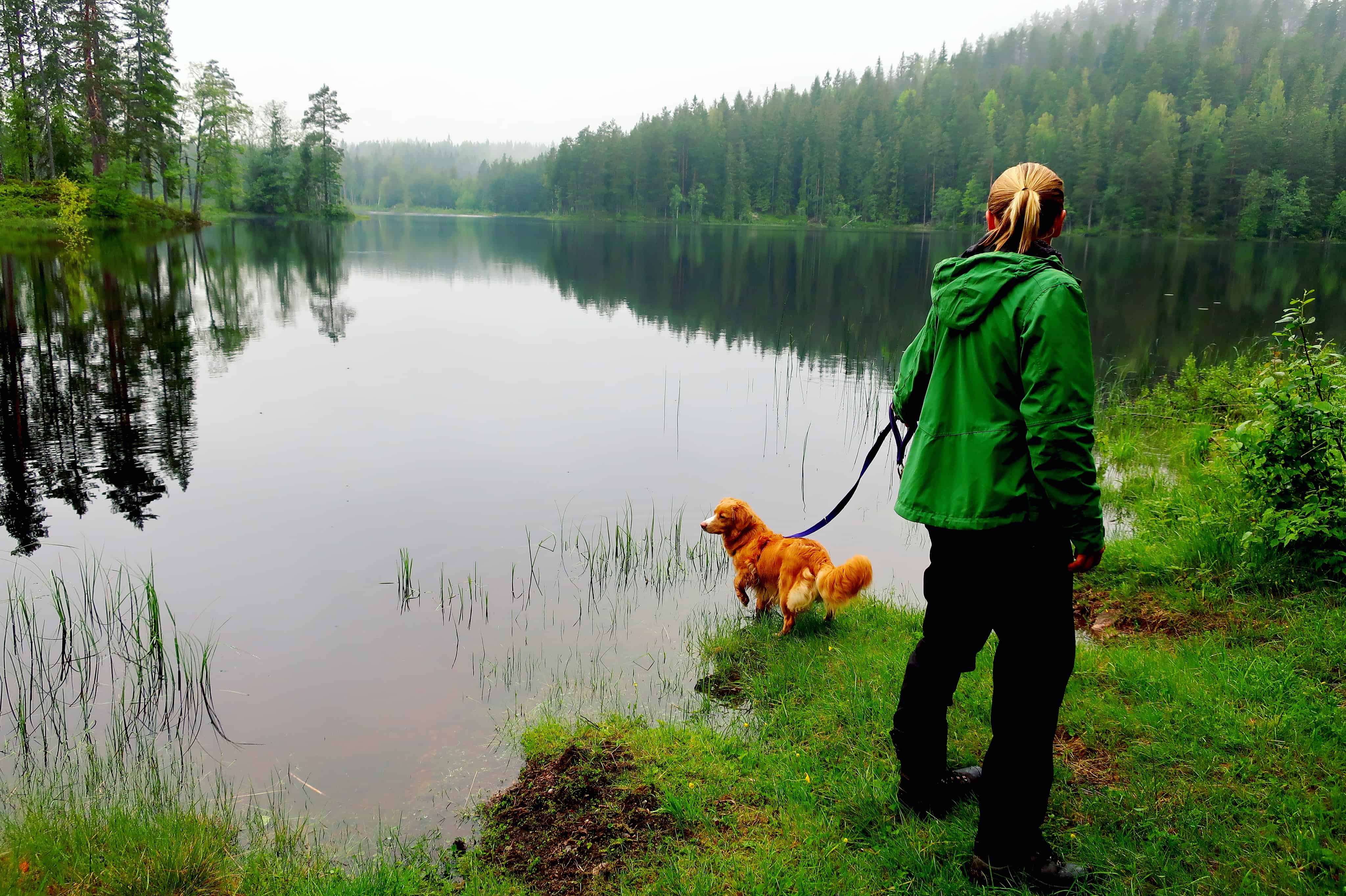 Hund Helhet Harmoni Trolla