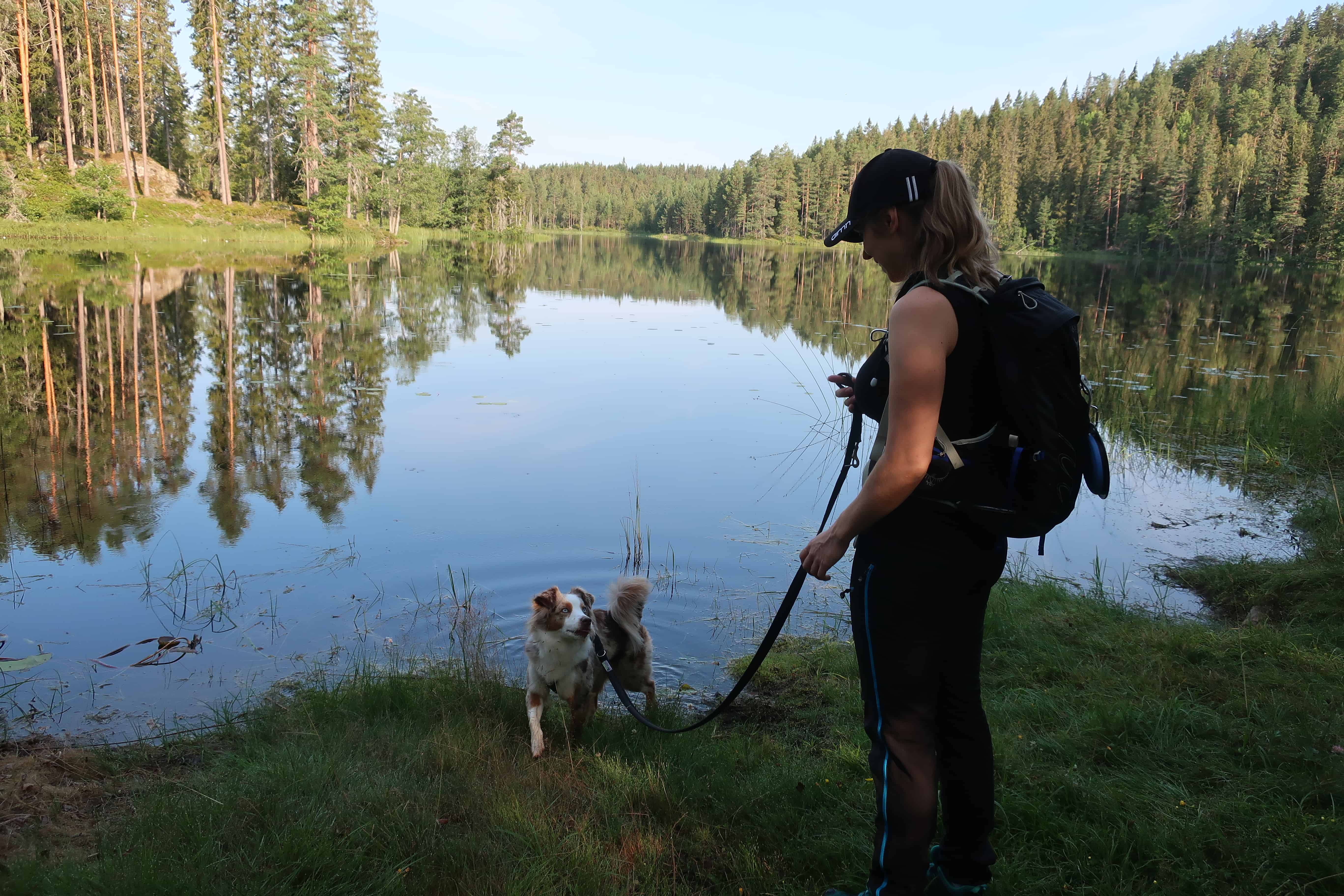 Hund Helhet Harmoni Leia